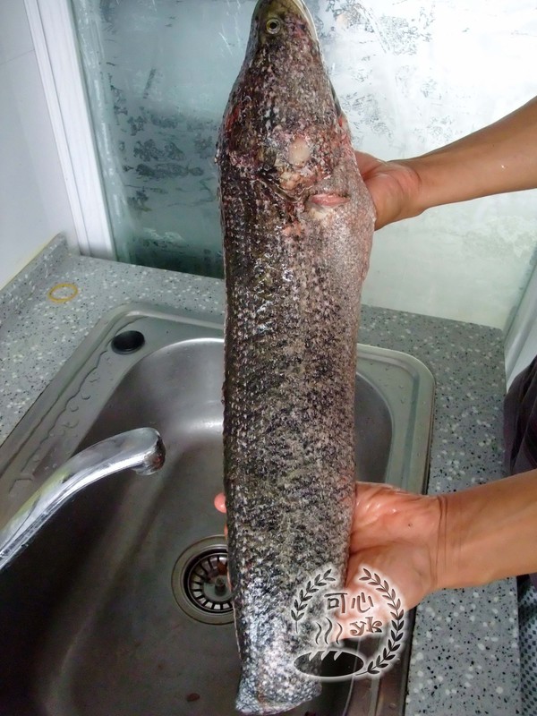 超簡單超美味的水煮魚的做法-香辣味煮菜譜-易網<a href=http://m.aoa7937.com/ target=_blank class=infotextkey>健康養生</a>網 超簡單超美味的水煮魚的做法-香辣味煮菜譜