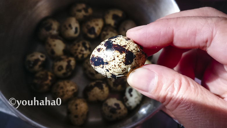 五香鵪鶉蛋的做法-家常味煮菜譜-易網(wǎng)健康養(yǎng)生網(wǎng) 五香鵪鶉蛋的做法-家常味煮菜譜