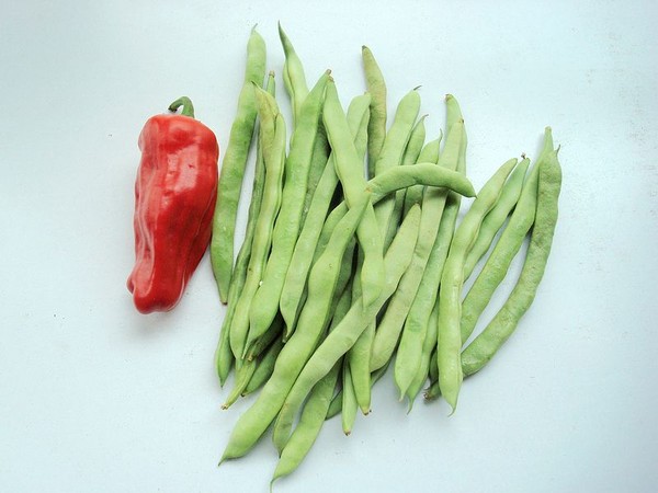豆角炒牛肚的做法-家常味炒菜譜-易網(wǎng)<a href=http://m.aoa7937.com/ target=_blank class=infotextkey>健康養(yǎng)生</a>網(wǎng) 豆角炒牛肚的做法-家常味炒菜譜