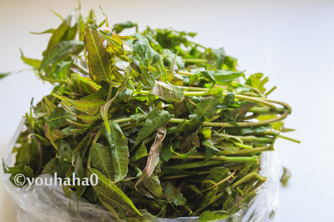 香椿芽鵝蛋并的做法-家常味炒菜譜-易網(wǎng)<a href=http://m.aoa7937.com/ target=_blank class=infotextkey>健康養(yǎng)生</a>網(wǎng) 香椿芽鵝蛋并的做法-家常味炒菜譜