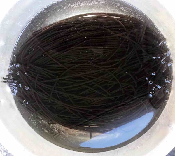 麻辣蕨根粉的做法-麻辣味拌菜譜-易網<a href=http://m.aoa7937.com/ target=_blank class=infotextkey>健康養生</a>網 麻辣蕨根粉的做法-麻辣味拌菜譜