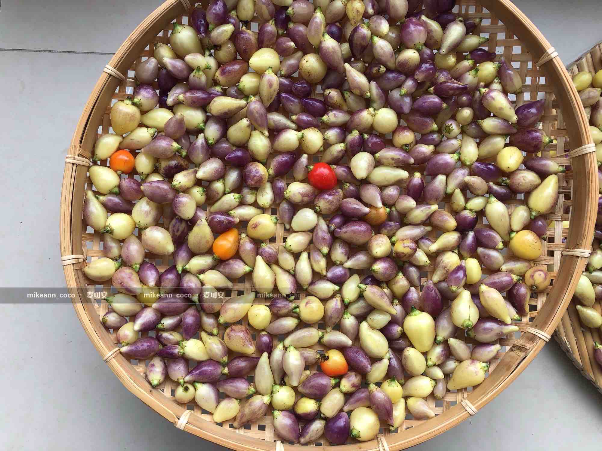 五彩泡椒的做法-香辣味腌菜譜-易網健康養生網 五彩泡椒的做法-香辣味腌菜譜