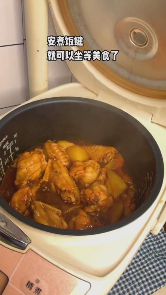 電飯煲雞翅的做法-咸鮮味其它工藝菜譜