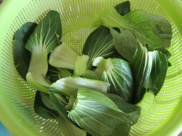 油菜炒扇貝柱的做法-咸鮮味炒菜譜-易網(wǎng)<a href=http://m.aoa7937.com/ target=_blank class=infotextkey>健康養(yǎng)生</a>網(wǎng) 油菜炒扇貝柱的做法-咸鮮味炒菜譜