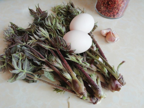刺嫩芽煎蛋的做法-香辣味煎菜譜-易網<a href=http://m.aoa7937.com/ target=_blank class=infotextkey>健康養(yǎng)生</a>網 刺嫩芽煎蛋的做法-香辣味煎菜譜