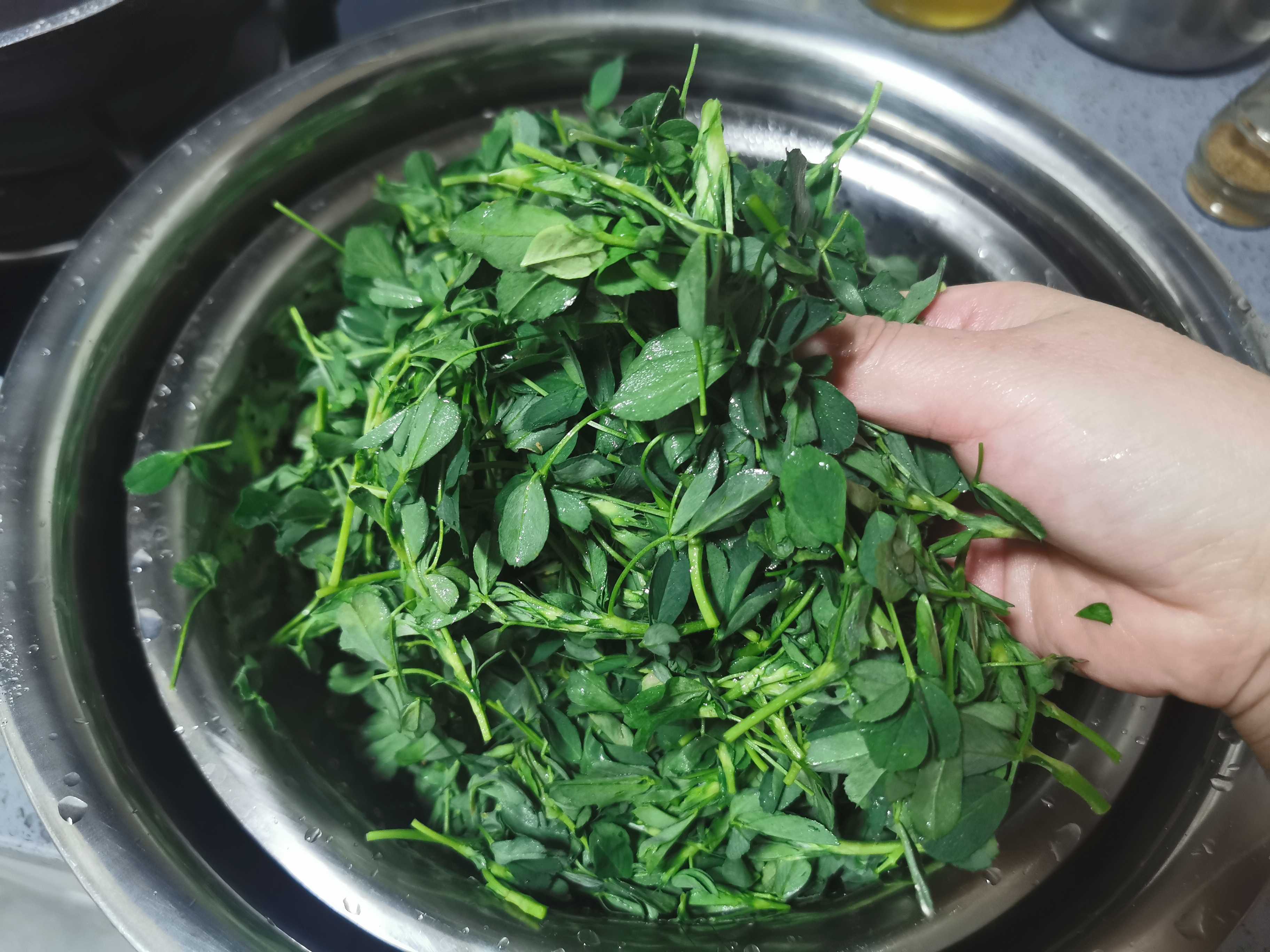 野菜的保存方法的做法-家常味煮菜譜