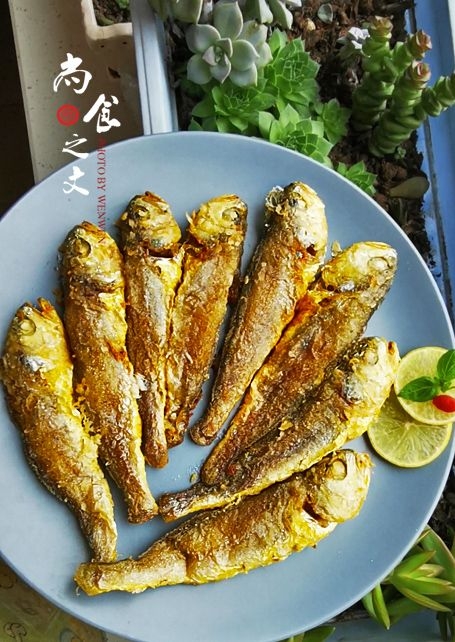 香酥黃花魚的做法-咸鮮味煎菜譜-易網健康養生網 香酥黃花魚的做法-咸鮮味煎菜譜