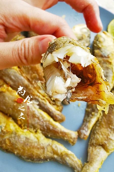 香酥黃花魚的做法-咸鮮味煎菜譜-易網健康養生網 香酥黃花魚的做法-咸鮮味煎菜譜