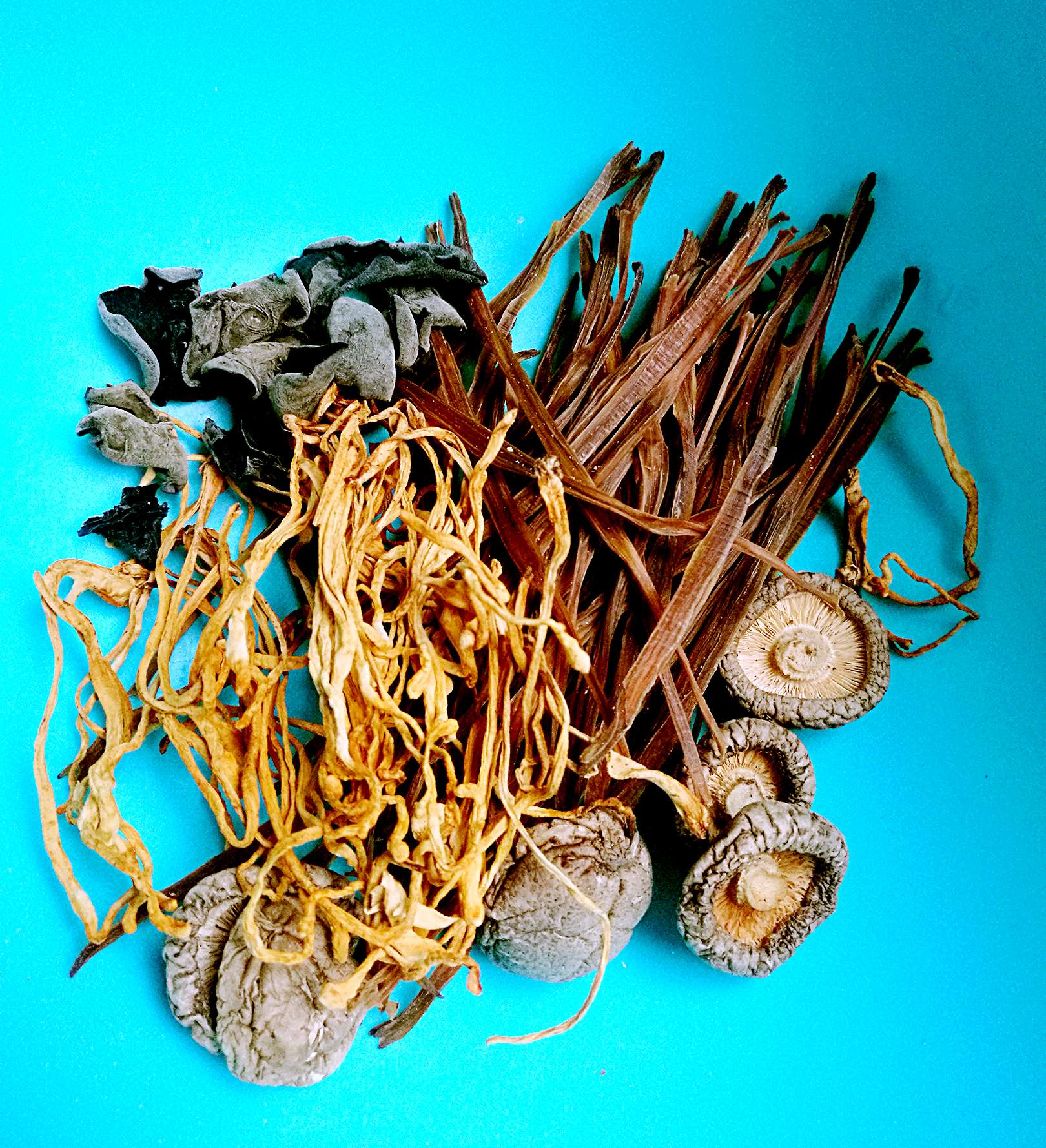 菌菇玉子豆腐的做法-其它口味燒菜譜-易網<a href=http://m.aoa7937.com/ target=_blank class=infotextkey>健康養生</a>網 菌菇玉子豆腐的做法-其它口味燒菜譜