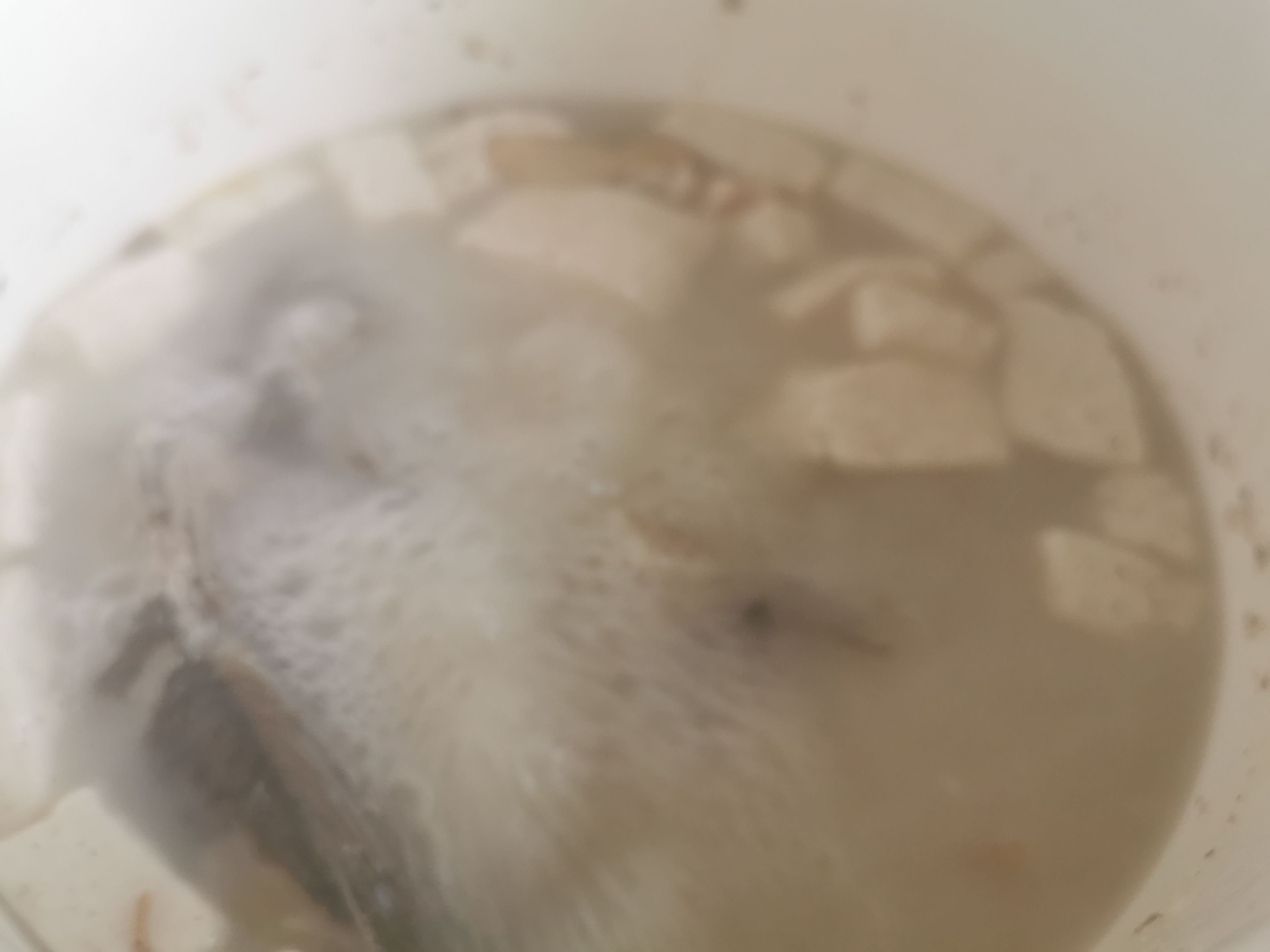 鯽魚豆腐湯的做法-家常味燉菜譜-易網健康養生網 鯽魚豆腐湯的做法-家常味燉菜譜