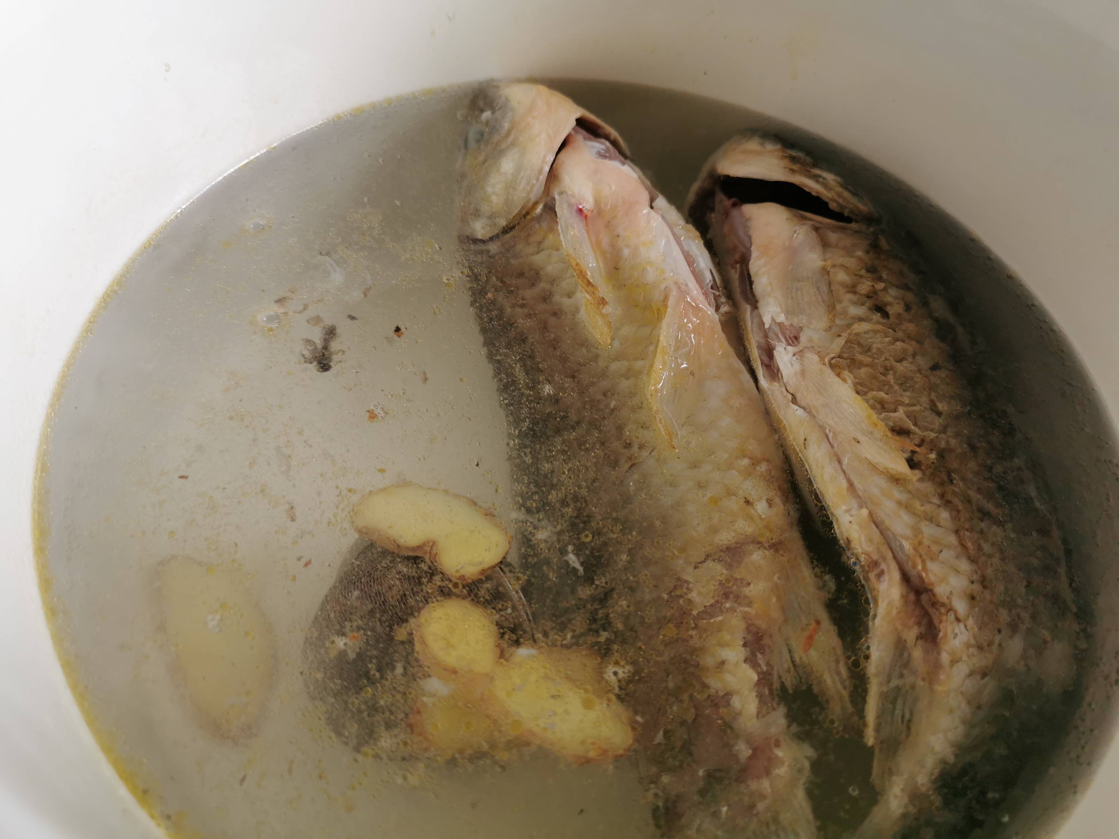 鯽魚豆腐湯的做法-家常味燉菜譜-易網健康養生網 鯽魚豆腐湯的做法-家常味燉菜譜