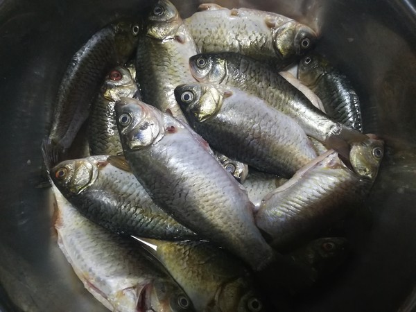 糖醋酥鯽魚(yú)的做法-家常味燉菜譜-易網(wǎng)健康養(yǎng)生網(wǎng) 糖醋酥鯽魚(yú)的做法-家常味燉菜譜