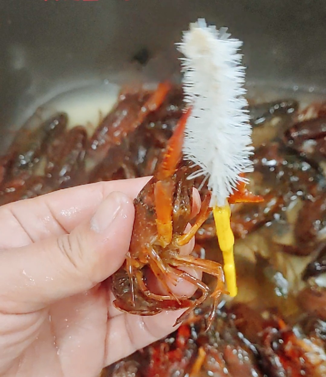 香辣小龍蝦的做法-香辣味其它工藝菜譜
