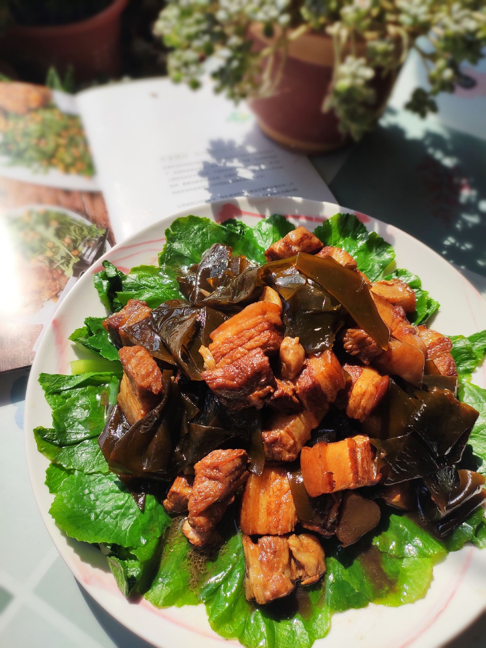 紅燒肉燉海帶的做法-咸鮮味燉菜譜-易網(wǎng)健康養(yǎng)生網(wǎng) 紅燒肉燉海帶的做法-咸鮮味燉菜譜