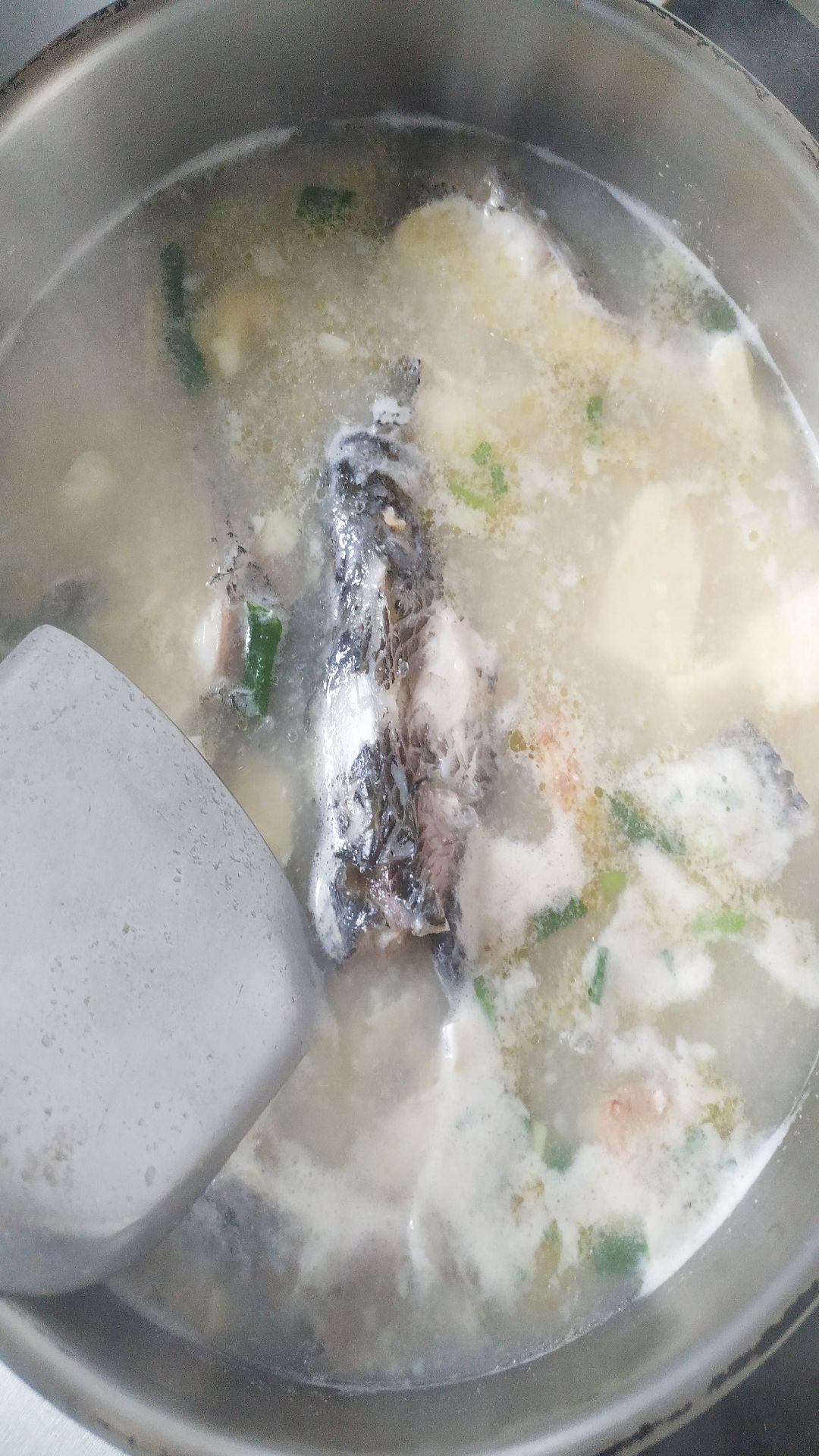 鷹嘴豆腐燉黑魚的做法-咸鮮味燉菜譜