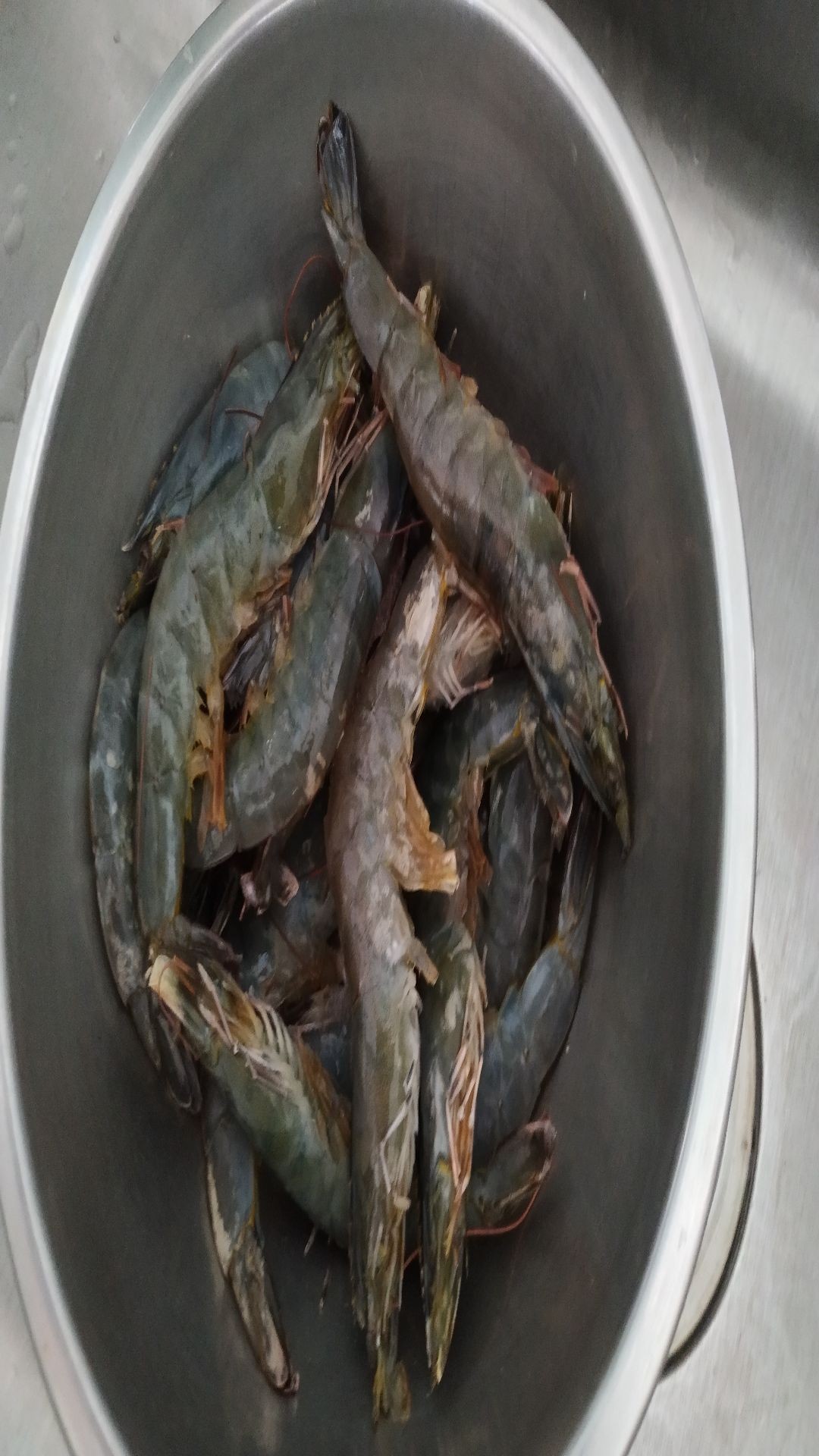 蔥炒海蝦的做法-家常味炒菜譜