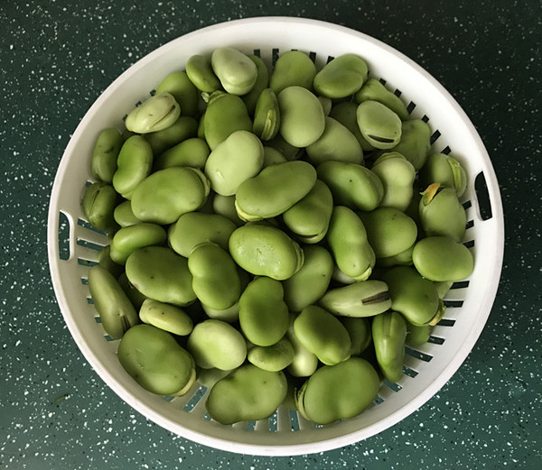 五香蠶豆的做法-五香味煮菜譜