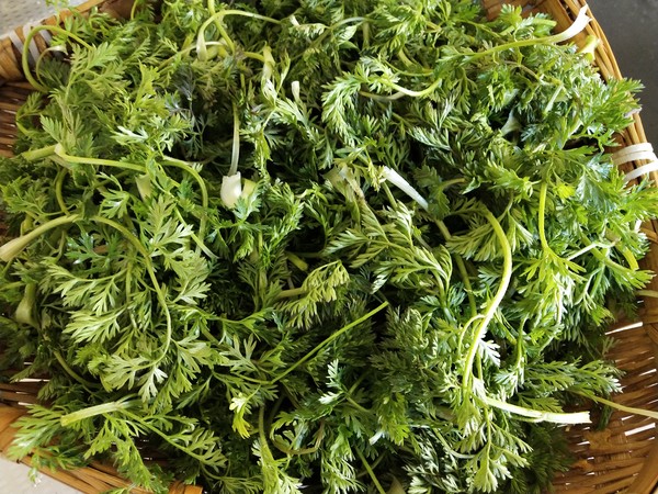 蒸野蘿卜纓的做法-家常味蒸菜譜-易網(wǎng)健康養(yǎng)生網(wǎng) 蒸野蘿卜纓的做法-家常味蒸菜譜