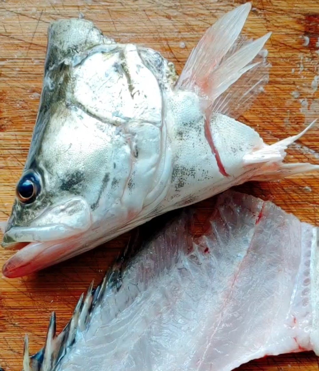 松鼠鱖魚(yú)的做法-酸甜味炸菜譜-易網(wǎng)健康養(yǎng)生網(wǎng) 松鼠鱖魚(yú)的做法-酸甜味炸菜譜