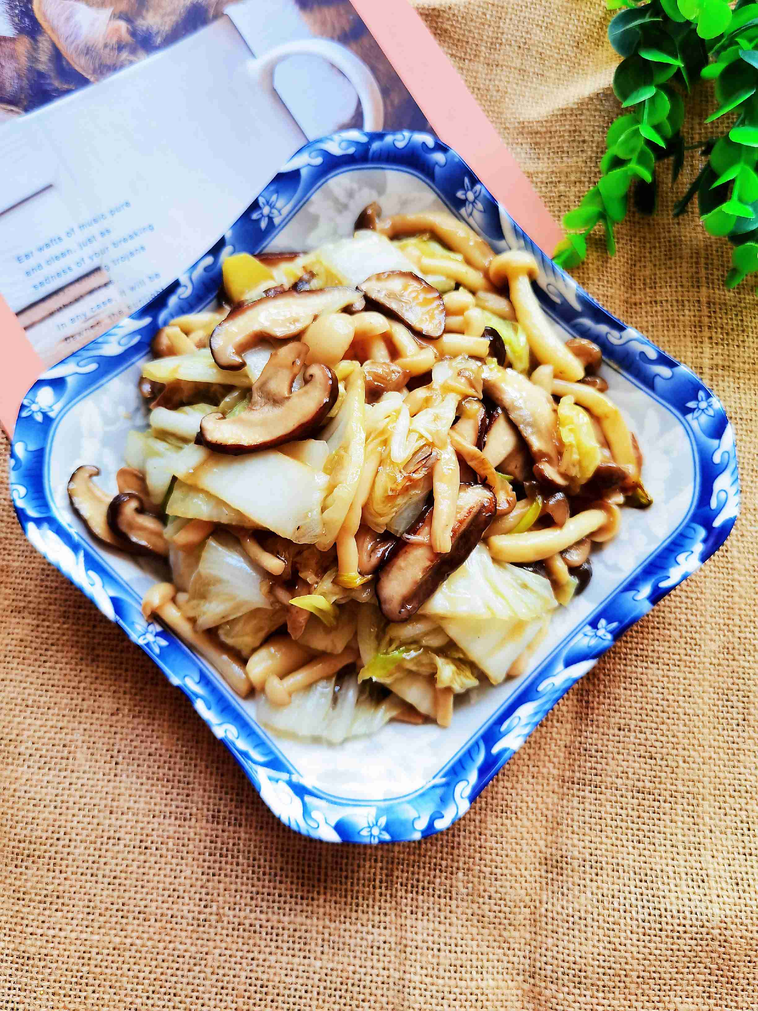 吃百菜不如吃白菜，白菜炒蘑菇，鮮美脆嫩又下飯的做法-咸鮮味炒菜譜