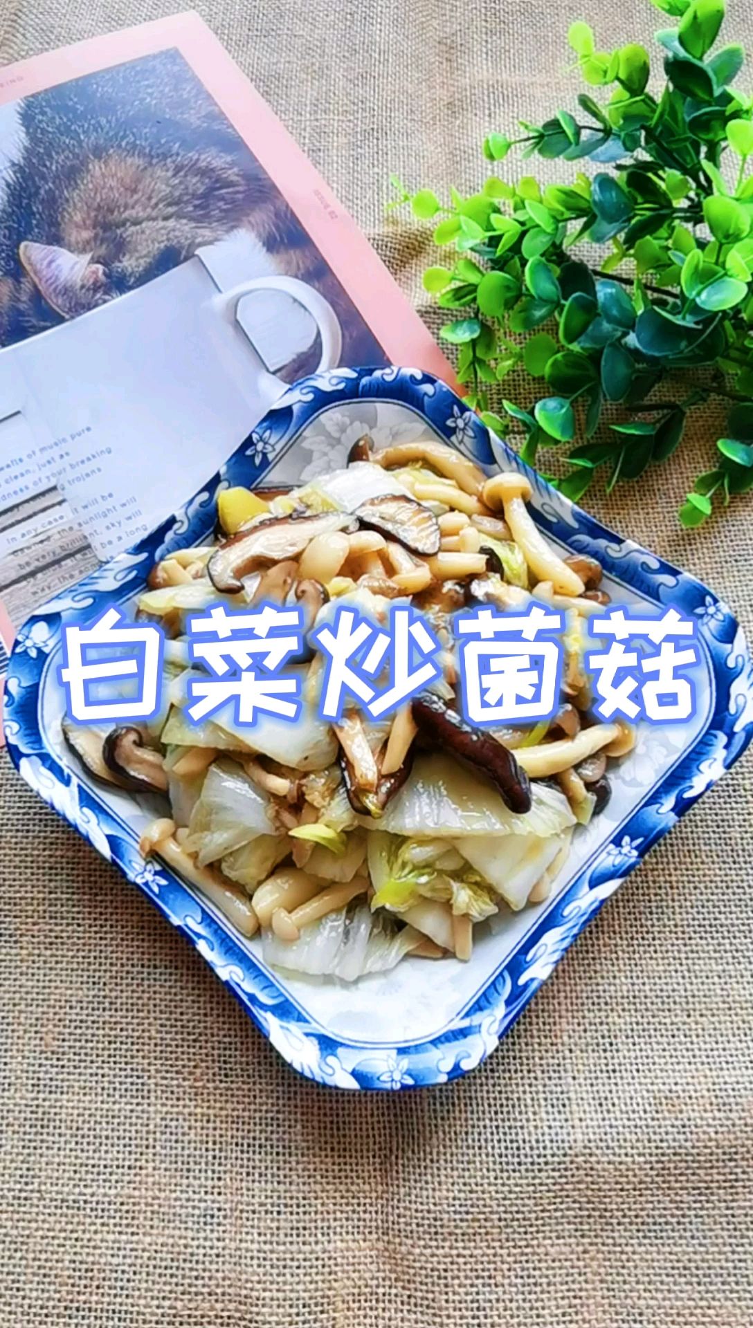 吃百菜不如吃白菜，白菜炒蘑菇，鮮美脆嫩又下飯的做法-咸鮮味炒菜譜