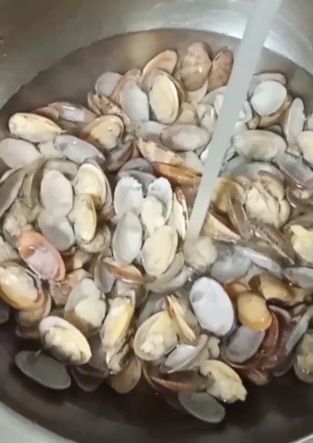豆瓣醬炒花甲的做法-家常味炒菜譜