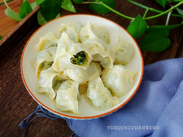 茴香豬肉餡蒸餃的做法-咸鮮味蒸菜譜-易網健康養生網 茴香豬肉餡蒸餃的做法-咸鮮味蒸菜譜