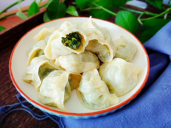 茴香豬肉餡蒸餃的做法-咸鮮味蒸菜譜-易網健康養生網 茴香豬肉餡蒸餃的做法-咸鮮味蒸菜譜