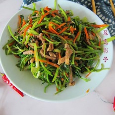 #最美不過中秋味#香菜炒肉絲的做法-家常味炒菜譜