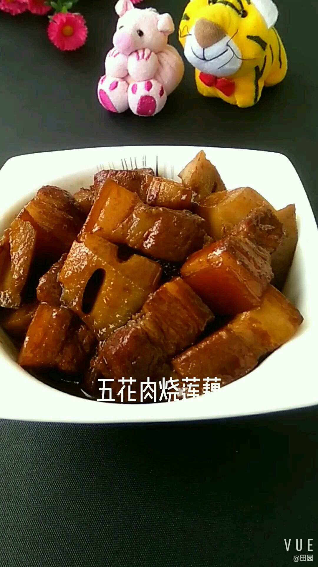 五花肉燒蓮藕的做法-咸鮮味燒菜譜-易網健康養生網 五花肉燒蓮藕的做法-咸鮮味燒菜譜