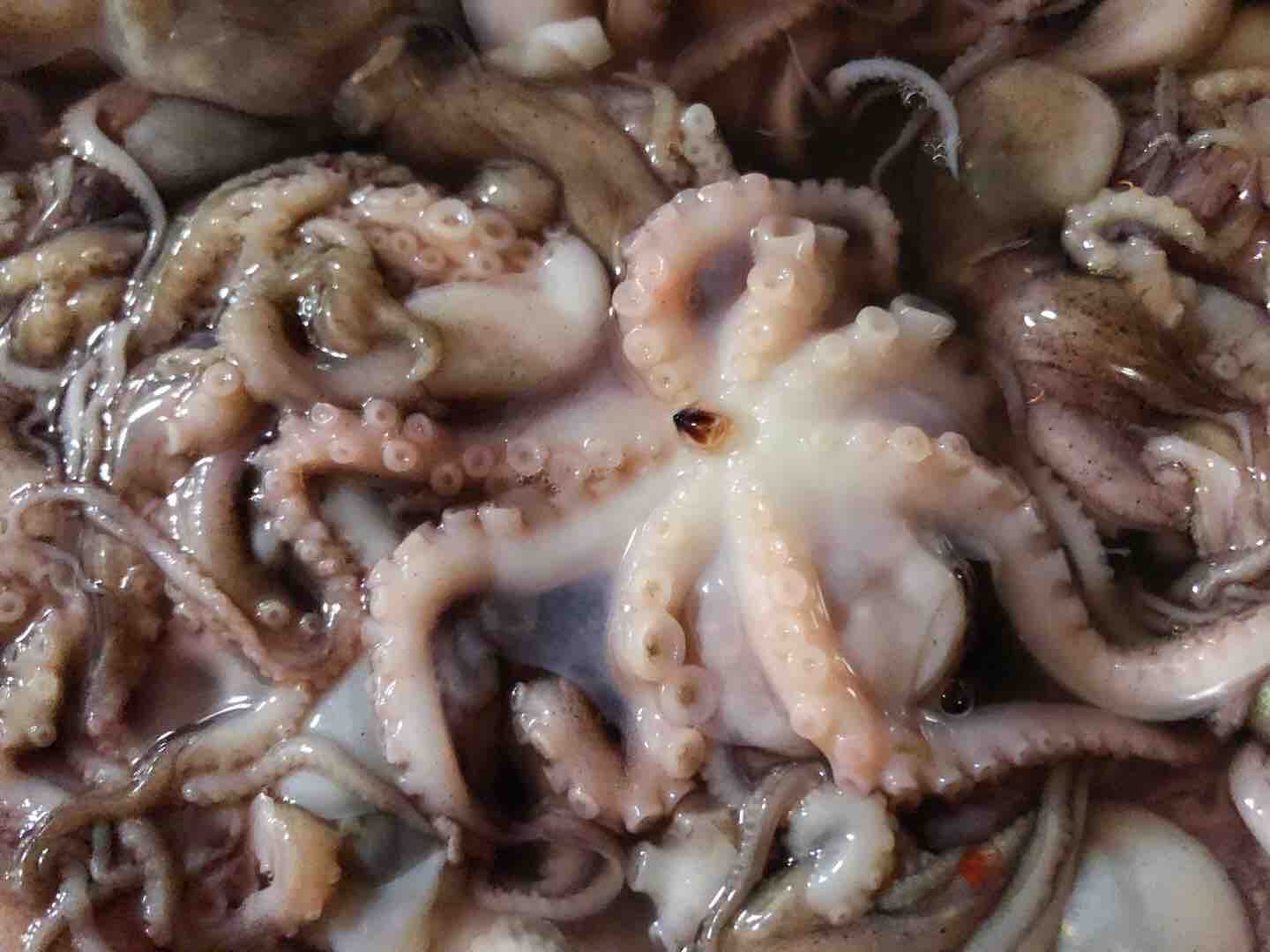 爆炒章魚的做法-家常味炒菜譜