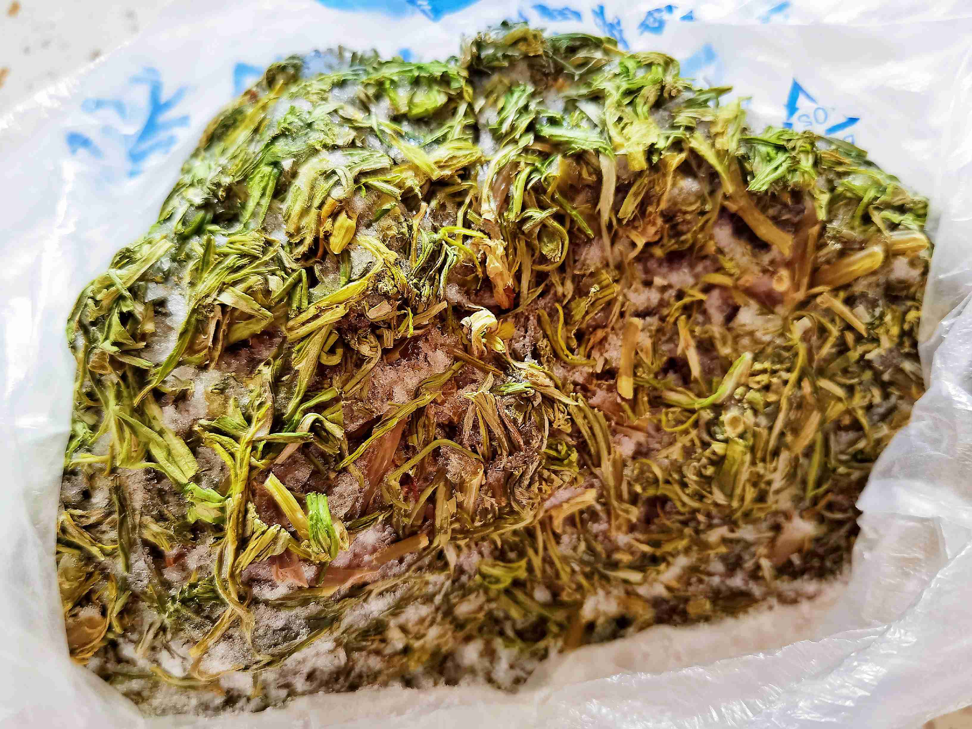 東北內蒙特色家常美食-蕓豆柳蒿芽,春天囤地野菜秋冬來解饞的做法-苦香味煮菜譜-易網<a href=http://m.aoa7937.com/ target=_blank class=infotextkey>健康養生</a>網 東北內蒙特色家常美食-蕓豆柳蒿芽,春天囤地野菜秋冬來解饞的做法-苦香味煮菜譜