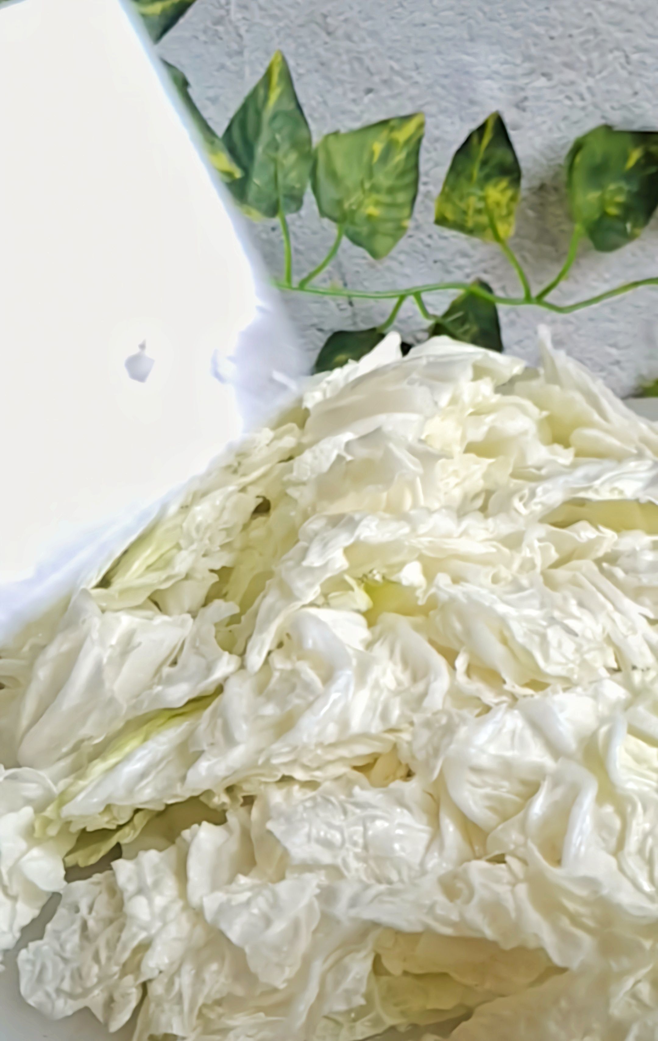 最家常的冬季暖鍋，百吃不厭~白菜粉條牛肉鍋的做法-咸鮮味煮菜譜