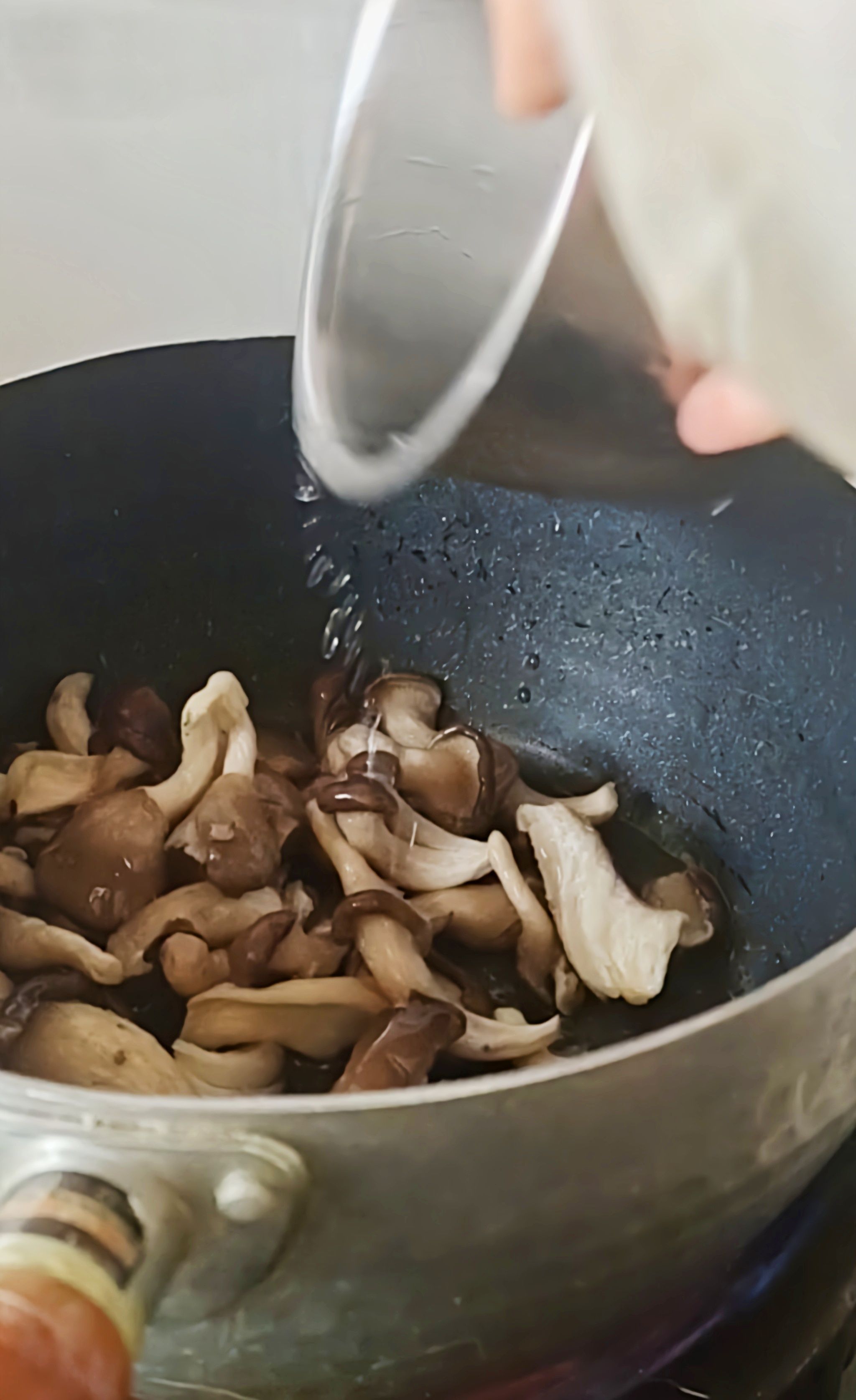 最家常的冬季暖鍋，百吃不厭~白菜粉條牛肉鍋的做法-咸鮮味煮菜譜