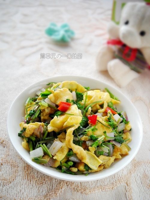 芫荽炒雞蛋的做法-家常味炒菜譜-易網健康養生網 芫荽炒雞蛋的做法-家常味炒菜譜
