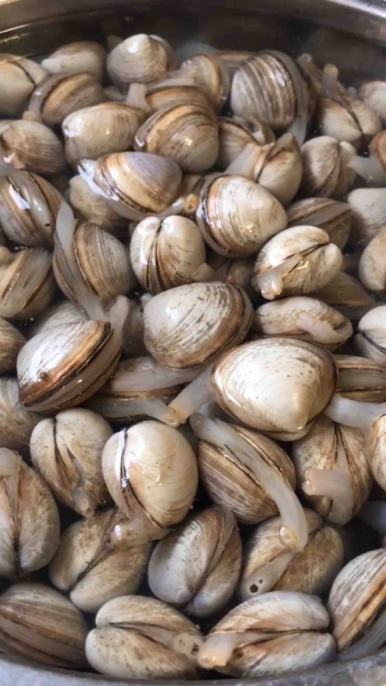 蛤蜊的正確清洗方法的做法-咸鮮味煮菜譜