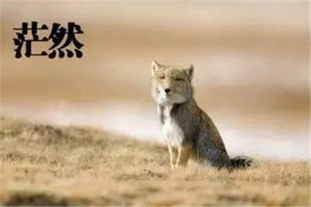 最常見(jiàn)的水腫問(wèn)題該如何解決？找到水腫原因輕松消除