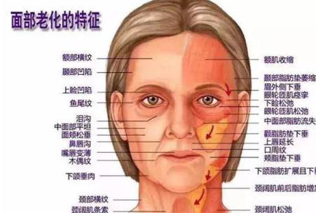 女性皮膚衰老的原因 抗衰老最好的方法是什么-易網健康養生網 女性皮膚衰老的原因 抗衰老最好的方法是什么