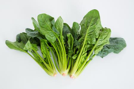 月經(jīng)期間吃什么最好?小編分享三種食物-易網(wǎng)健康<a href=http://m.aoa7937.com/jkys/ target=_blank class=infotextkey>養(yǎng)生</a>網(wǎng) 月經(jīng)期間吃什么最好?小編分享三種食物