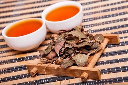 金線蓮的六大功效與作用，清熱養顏幫你去除痘痘粉刺