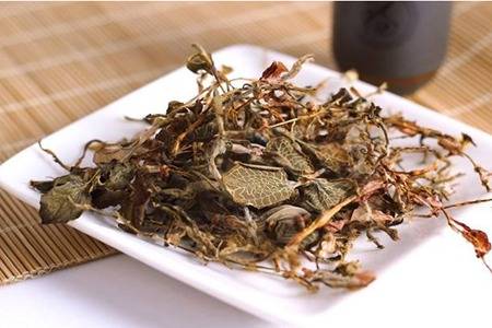 金線蓮的六大功效與作用，清熱養顏幫你去除痘痘粉刺