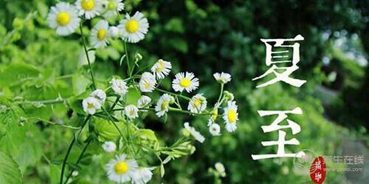 2019年什么時候夏至 夏至時間幾點幾分 2019年什么時候夏至 夏至時間幾點幾分