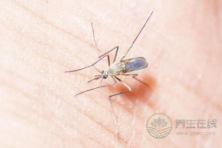 夏季預防蚊蟲叮咬的方法是什么?