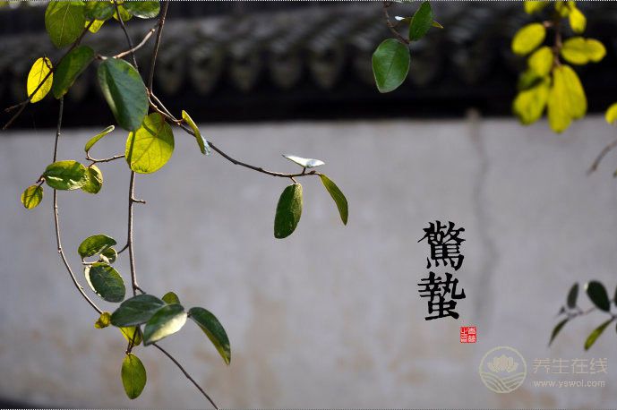 2018年驚蟄時間,驚蟄天氣如何,驚蟄有哪些習俗,驚蟄如何養生 2018年驚蟄時間,驚蟄天氣如何,驚蟄有哪些習俗,驚蟄如何養生