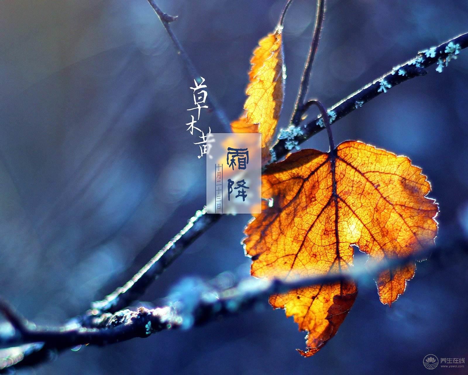 霜降時(shí)節(jié)養(yǎng)生注意保護(hù)身體這幾個部位