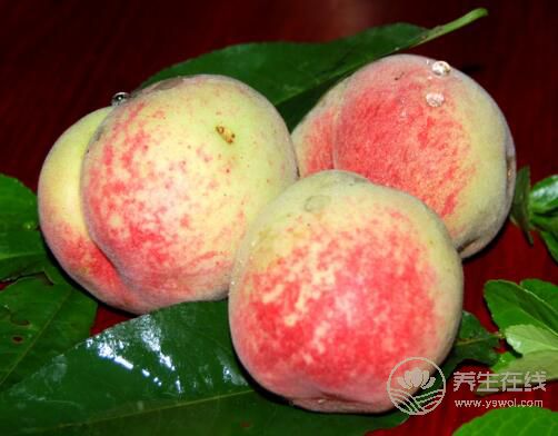8月份不可錯過的水果，味美營養(yǎng)養(yǎng)生