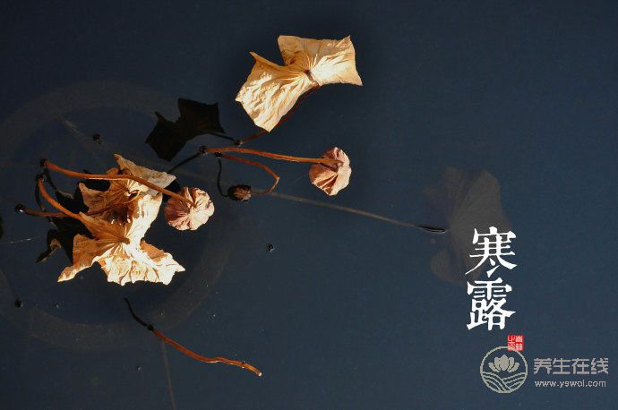 2018寒露時間_寒露是什么時候_吃什么養生_寒露習俗