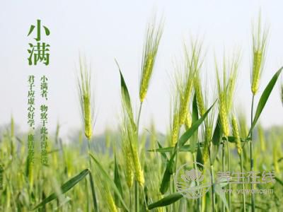 2019年什么時候小滿 小滿時間幾點幾分