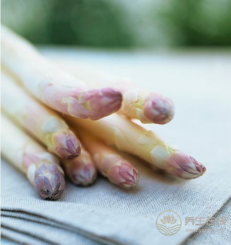 夏季讓孩子多吃4種蔬菜,清涼健腦 夏季讓孩子多吃4種蔬菜,清涼健腦