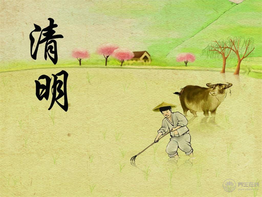 清明節(jié)氣<a href=http://m.aoa7937.com/jkys/ target=_blank class=infotextkey>養(yǎng)生</a>飲食:多吃護(hù)肝食品少吃“發(fā)物” 清明節(jié)氣養(yǎng)生飲食:多吃護(hù)肝食品少吃“發(fā)物”